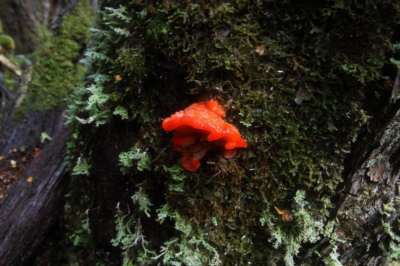 c0248100_1743224.jpg