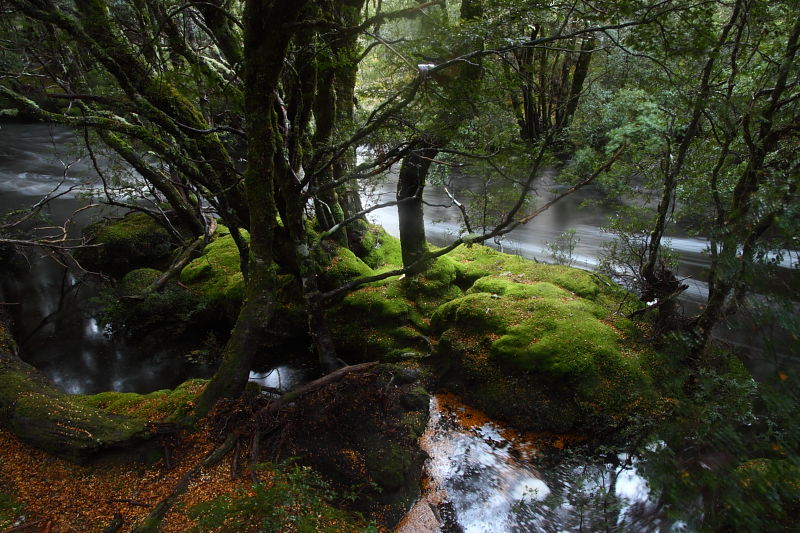 c0248100_1754675.jpg