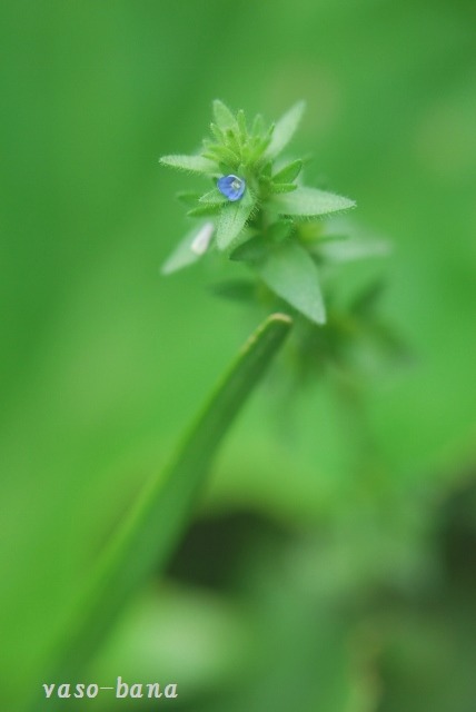 e0025300_9243310.jpg