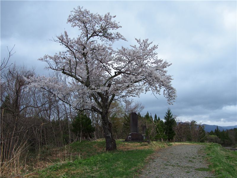 f0224100_7302646.jpg