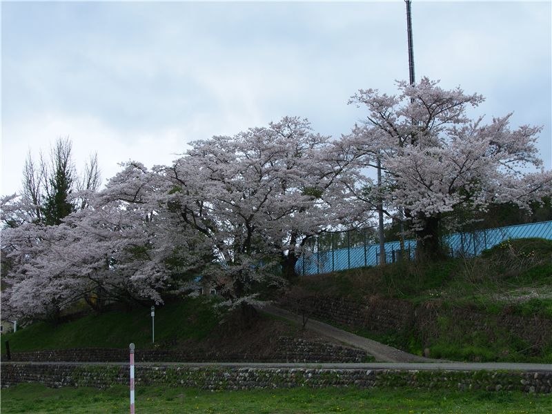 f0224100_7304042.jpg