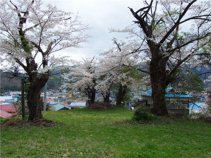 f0224100_7482577.jpg