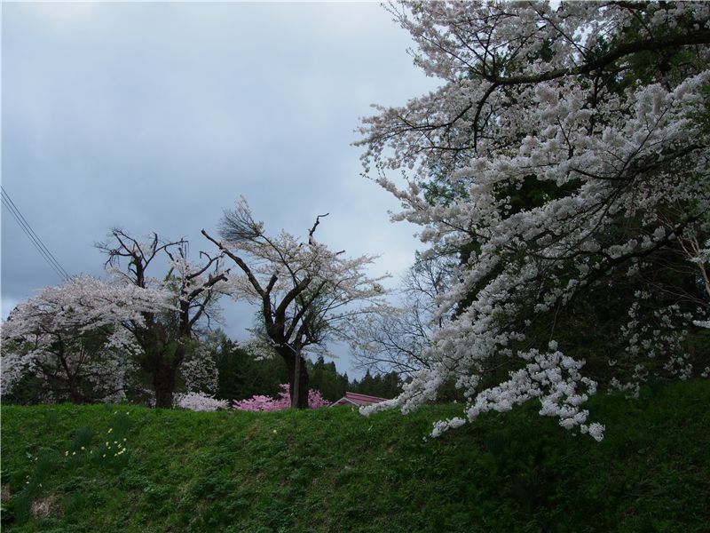 f0224100_749790.jpg