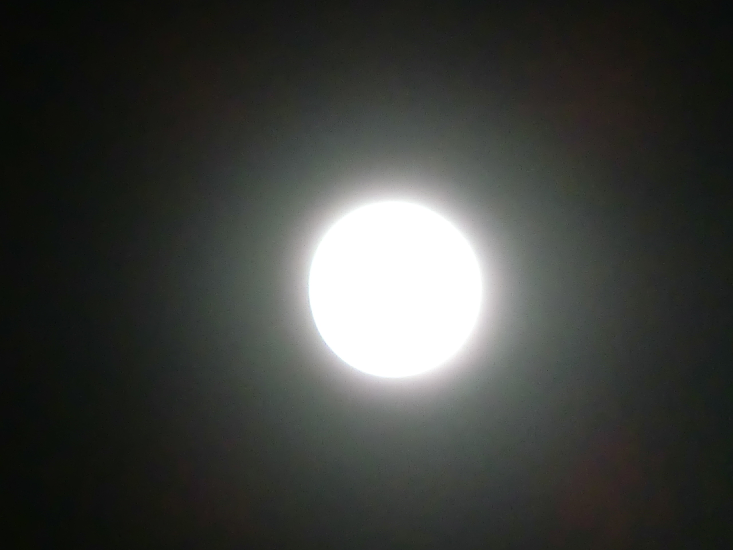 c0125702_2113072.jpg