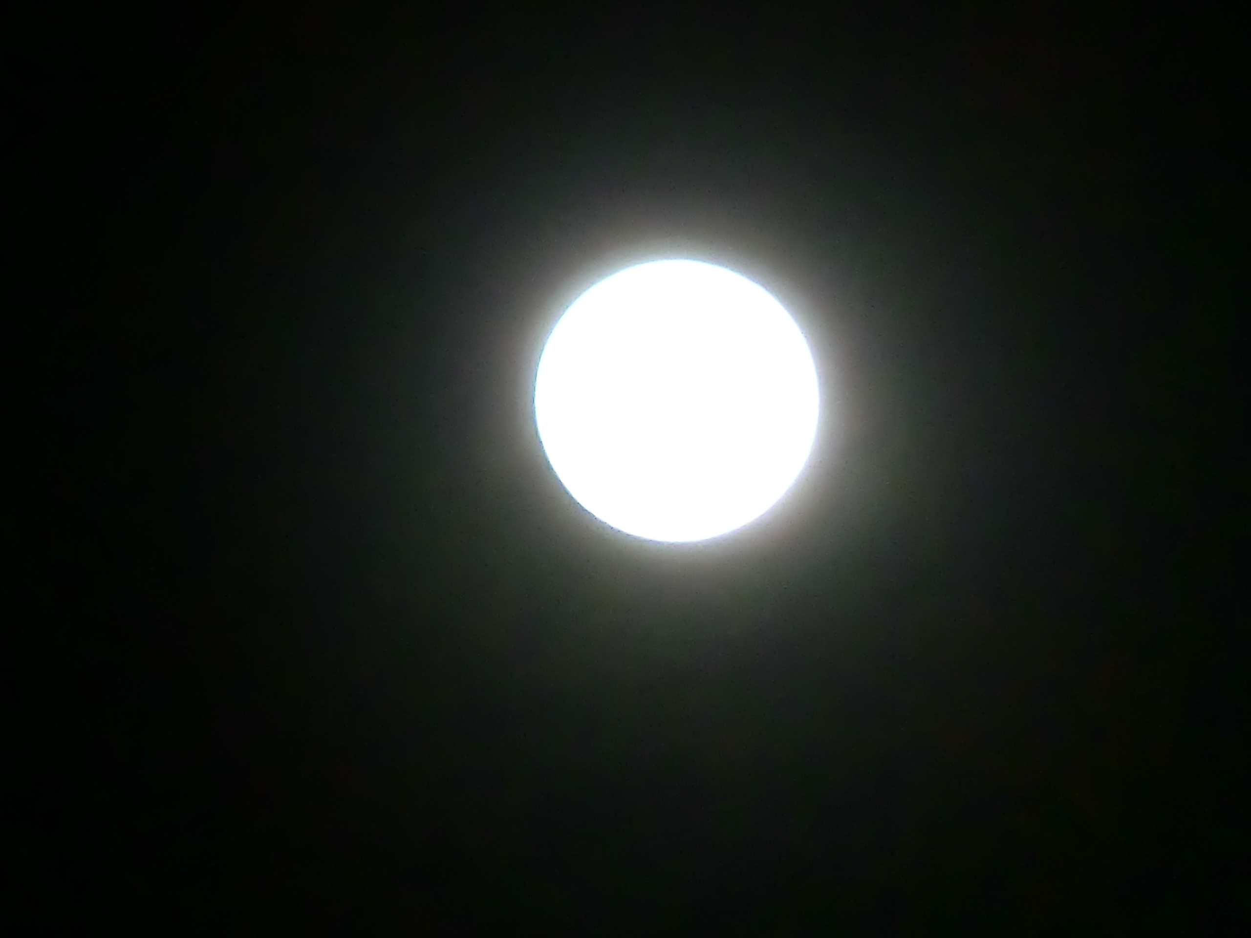 c0125702_2116029.jpg