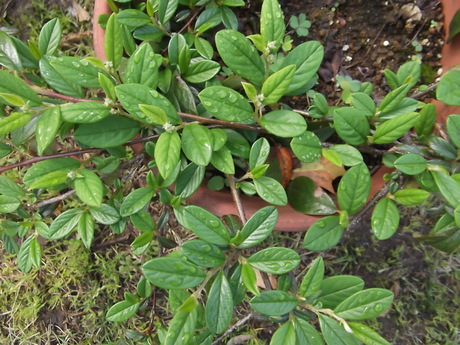 a0203003_113821.jpg