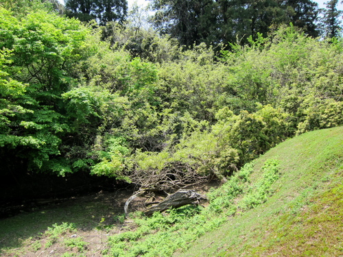 c0043403_13122450.jpg
