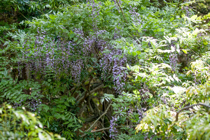 c0043403_22525466.jpg
