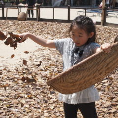 d0016003_11183448.jpg