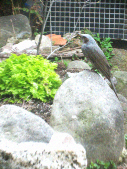 d0077603_10241885.jpg