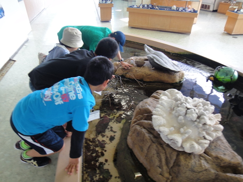 c0092408_7184991.jpg