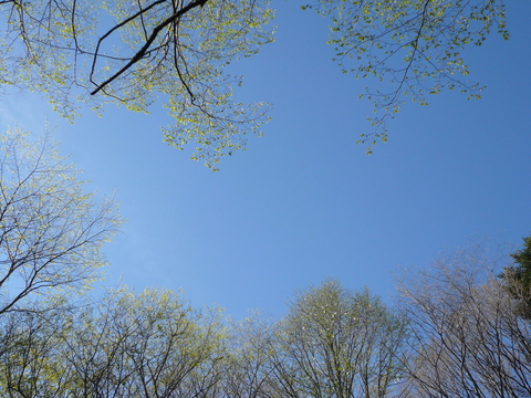 f0006208_2059446.jpg