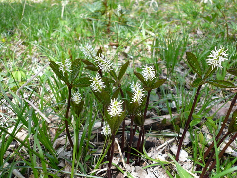 f0006208_21273786.jpg