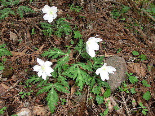 b0239909_2210979.jpg