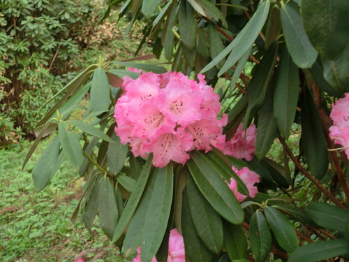 b0239909_2244258.jpg