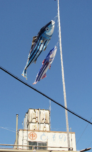 d0154609_1544422.jpg