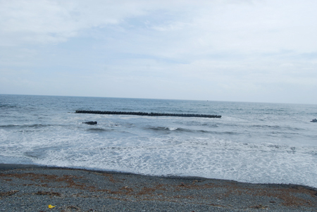 d0113613_148236.jpg