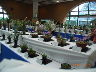 f0110413_1635015.jpg