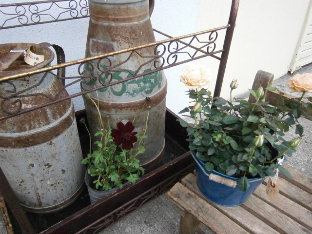 e0199317_21372346.jpg