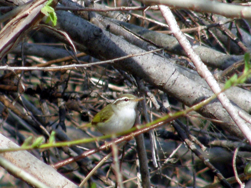 c0039919_2053841.jpg