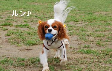 f0214121_0352358.jpg