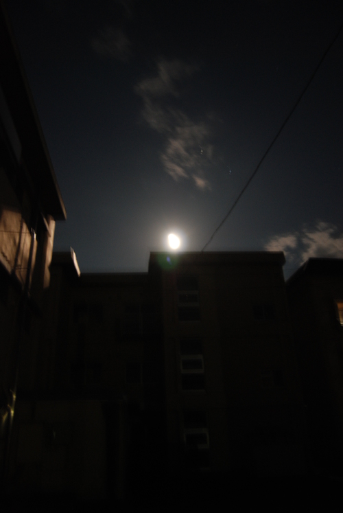 f0234821_218406.jpg