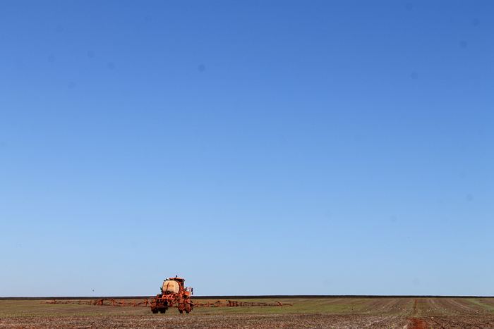 b0246322_134629.jpg