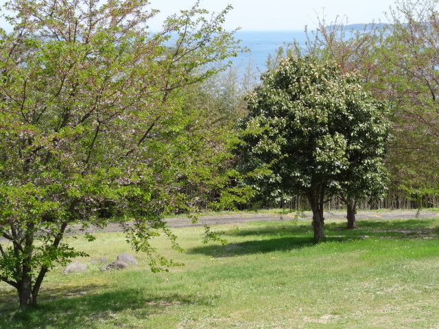 b0189926_15511761.jpg