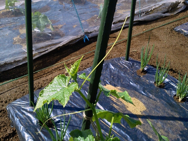 c0246826_92734100.jpg