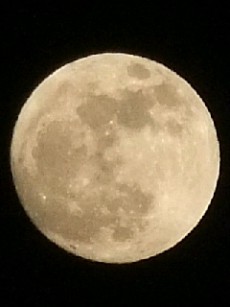 d0014133_22264110.jpg