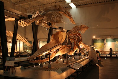 b0047734_22151423.jpg