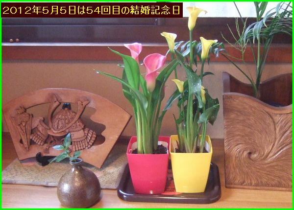 c0004734_18473520.jpg