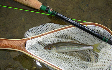 b0174137_12473168.jpg