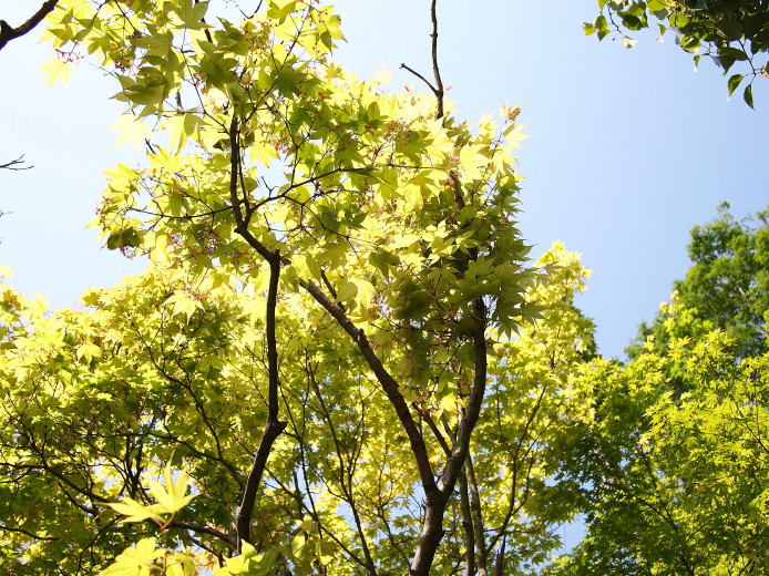 d0241937_1730355.jpg