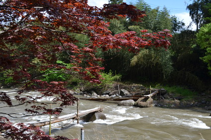 e0228938_220373.jpg