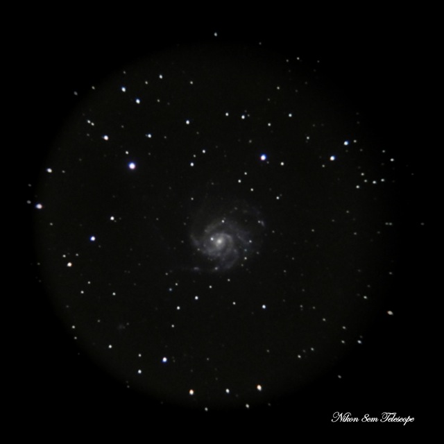b0167343_1646186.jpg