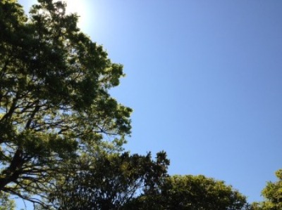 b0239244_9314666.jpg