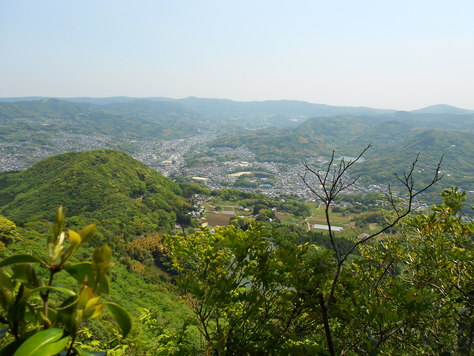 a0206345_191342.jpg
