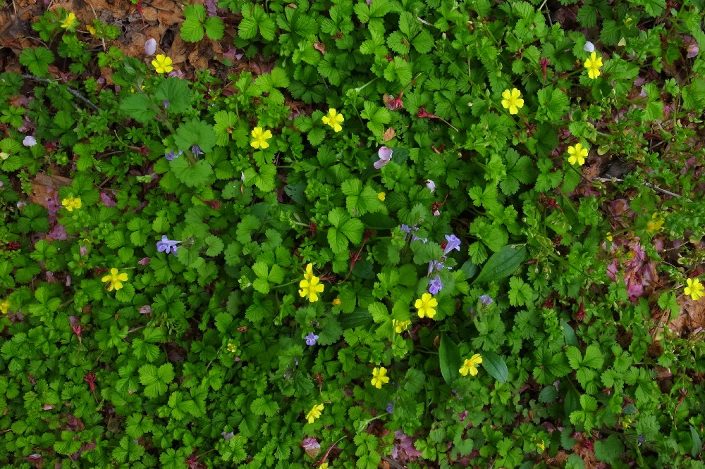 e0009147_20123258.jpg