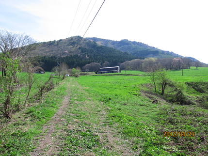 b0148050_22412849.jpg