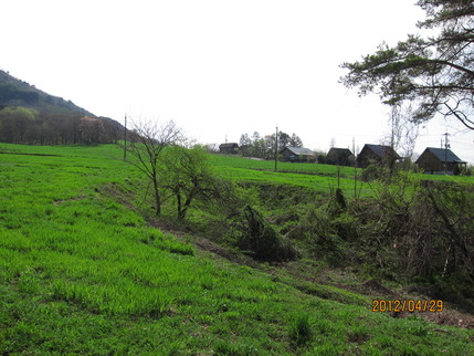 b0148050_22414416.jpg