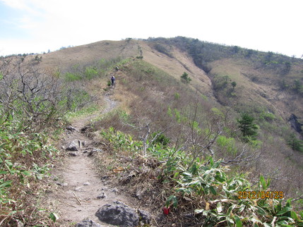 b0148050_2243248.jpg