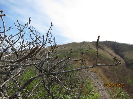 b0148050_2244573.jpg