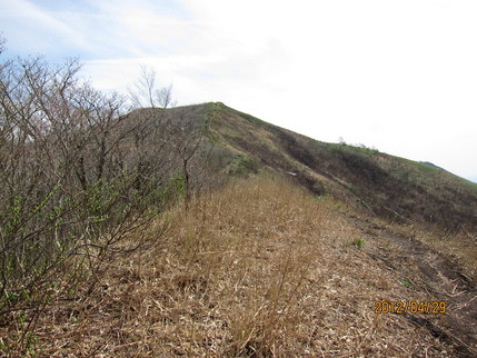 b0148050_22454155.jpg