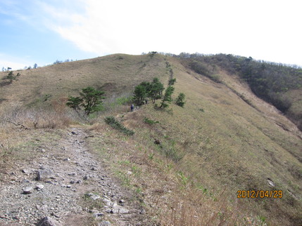 b0148050_2245521.jpg