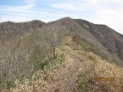 b0148050_22512243.jpg