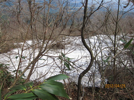 b0148050_22514479.jpg