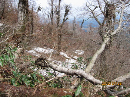 b0148050_2252588.jpg