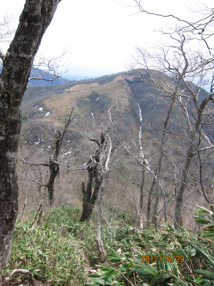 b0148050_22551299.jpg