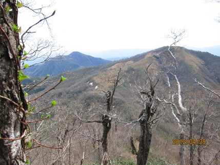 b0148050_22553549.jpg